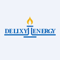 Delixy Holdings Ltd logo