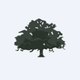 Live Oak Acquisition Corp. V logo