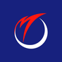 MIZUHO FINANCIAL GROUP INC logo
