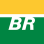 PETROBRAS - PETROLEO BRASILEIRO SA logo