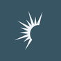 Solaris Energy Infrastructure, Inc. logo