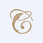 Top Wealth Group Holding Ltd logo